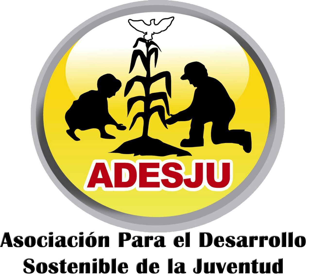 Asociación Para el Desarrollo Sostenible de la Juventud -ADESJU-