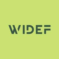 Women in the Digital Economy Fund (WiDEF)